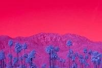 Infrared California Landscape Photography Image 8
