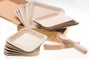 Biodegradable Seed-Ingrained Plates Article Thubnail