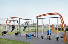 Adult Fitness Jungle Gyms