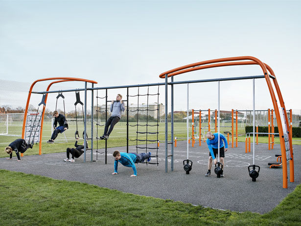 Adult Fitness Jungle Gyms