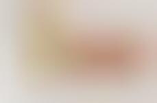 QSR Sous Vide Snacks