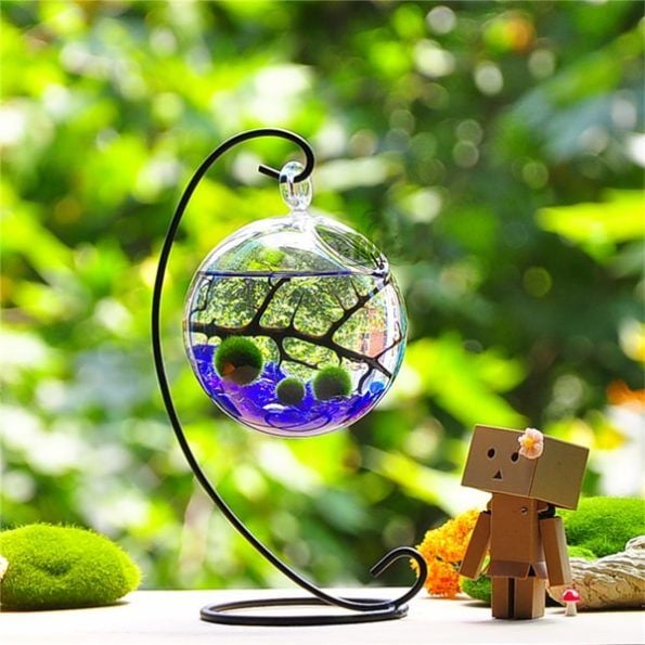 Top 70 Eco Trends in September