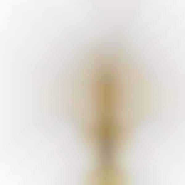 Abstract Gold-Plated Light Fixtures