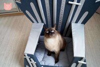 Fantasy Series Cat Furniture Image 3