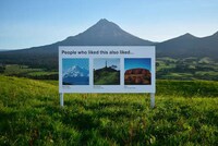 Social Media-Inspired Signage Image 3
