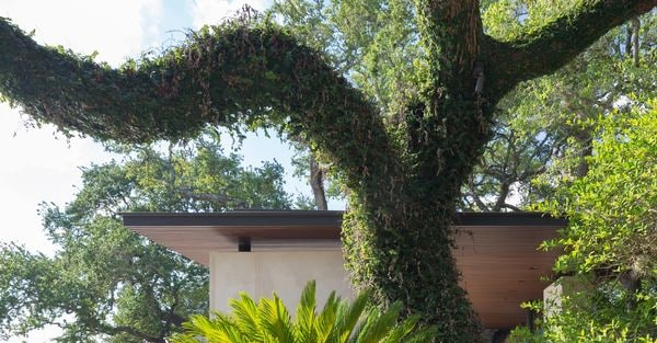 Top 35 Eco Design Ideas in September
