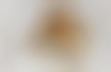 Durian-Carrying Totes