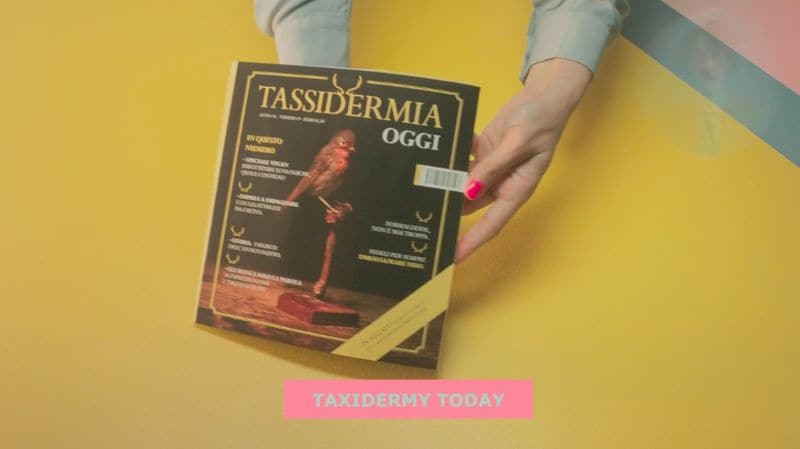 Deceptive Catalog Covers