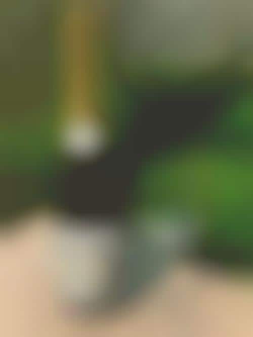 Sparkling Cannabis Beverages