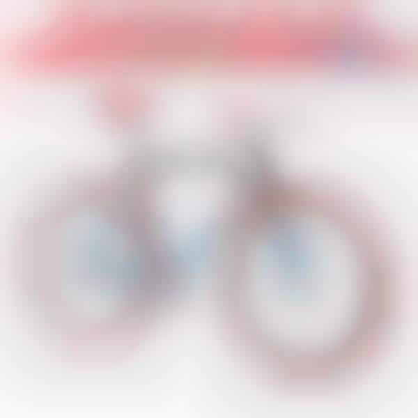 Cereal Brand Bicycles