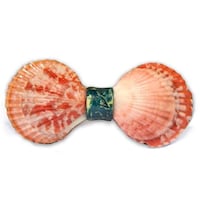 Seashell Bow Ties Image 2