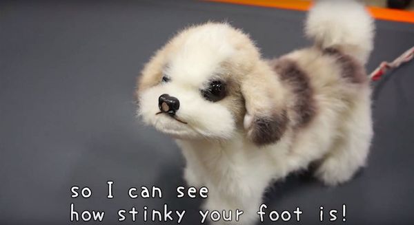 Robotic Odor-Detecting Dogs Image 2
