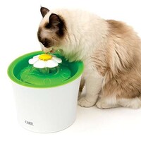 Floral Pet Fountains Image 2