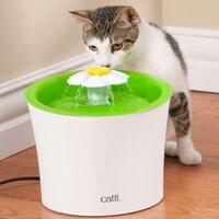 Floral Pet Fountains Image 4