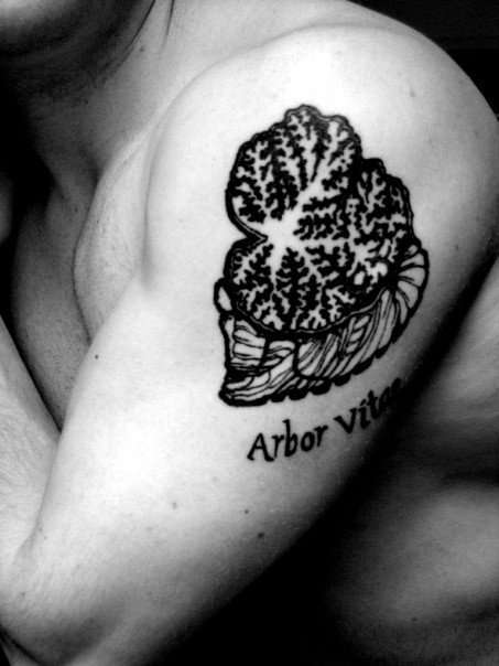 55 Bizarre, Unique and Unusual Tattoo Designs