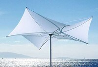 Blossoming Sunshades Image 2