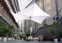Blossoming Sunshades Image 3