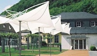 Blossoming Sunshades Image 4