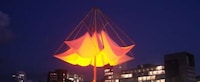 Blossoming Sunshades Image 8