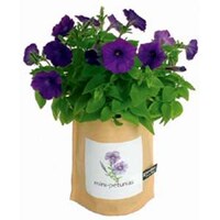 Easy Eco-Gardening