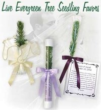 Living Tree Gifts Image 5