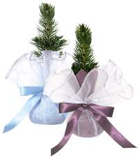 Living Tree Gifts Image 6
