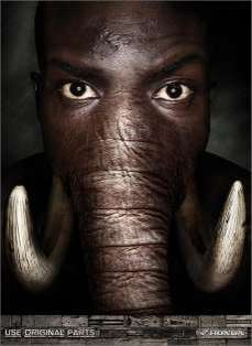 27 Elephant Innovations