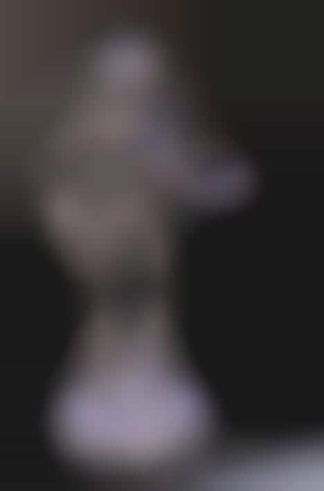 Immortality Through Robots