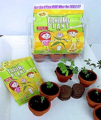 Animated Vegetation Image 2