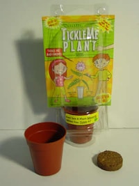 Animated Vegetation Image 4