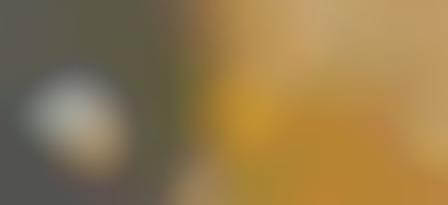 Eco-Friendly Parade Floats