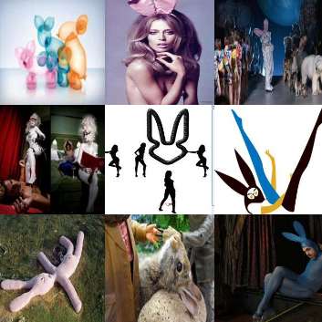 30 Bunny Fantasies