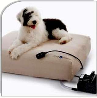 Therapeutic Animal Loungers