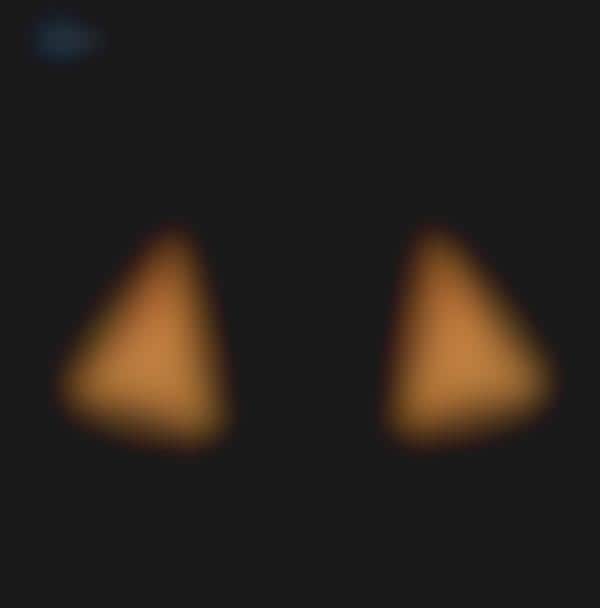 Corn Chip Fashion