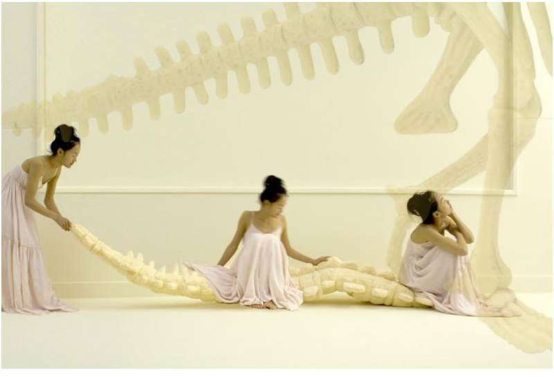 Boney Couches