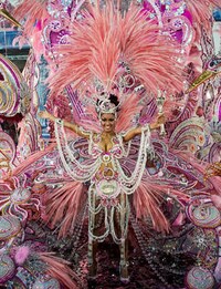 Glitzy Cultural Festivals Image 4
