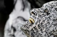 Glitzy Cultural Festivals Image 8