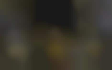 Metallic Carnival Costumes