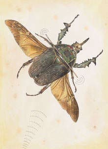 Microcontrolled Insects
