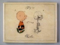 Cartoon Anatomy Image 3