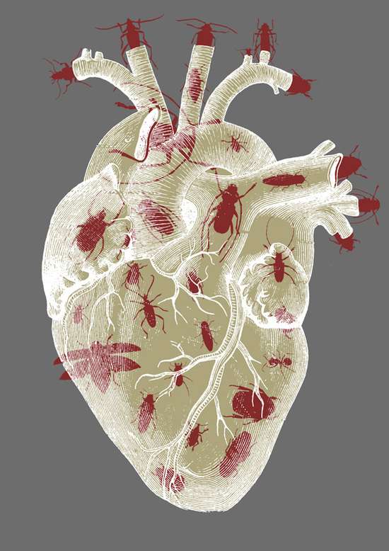 Cockroach-Infested Heart Art