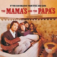 Inappropriate Album Covers Image 7