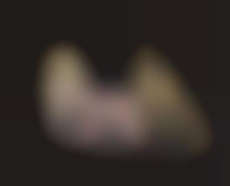 Icing-Inspired Paintings