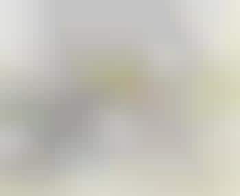 Elegant Eco-Friendly Cosmetics