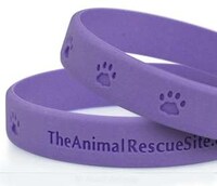 Crowdfunded Animal Rescue Image 6