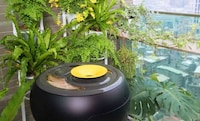 Artificial Urban Beehives Image 3