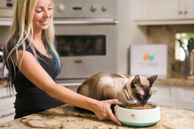 Kitty Fitness Trackers