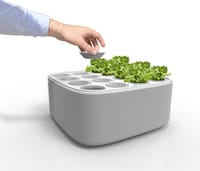 Stackable Indoor Gardens Image 8