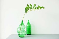 Glass Bottle-Based Vases Image 3