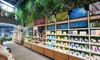 Store-Based Living Plant Walls Image 2